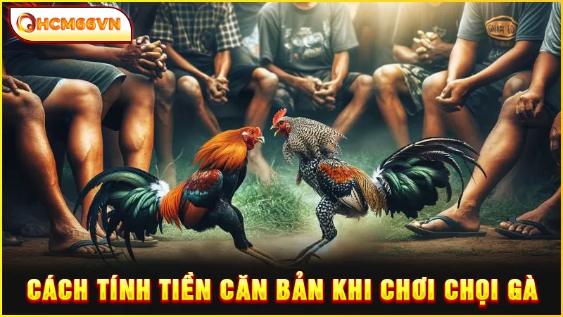 Cách tính tiền căn bản khi chơi chọi gà