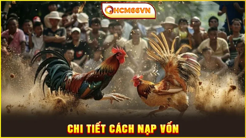 Chi tiết cách nạp vốn