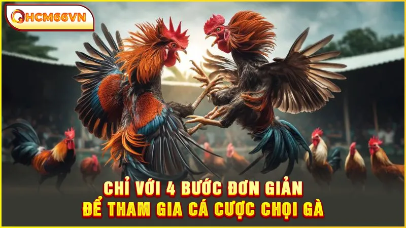 Chỉ với 4 bước đơn giản để tham gia cá cược chọi gà