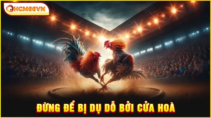 Đừng để bị dụ dỗ bởi cửa Hoà