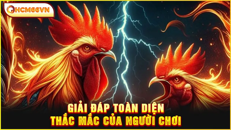 Giải đáp toàn diện thắc mắc của người chơi