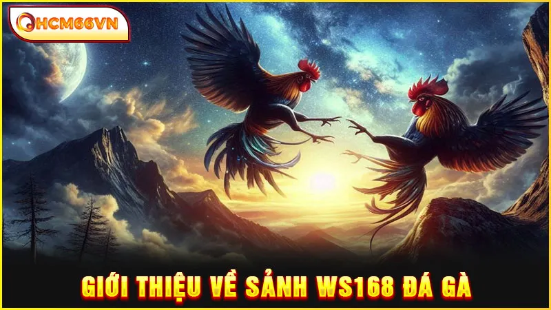 Giới thiệu về sảnh WS168 đá gà