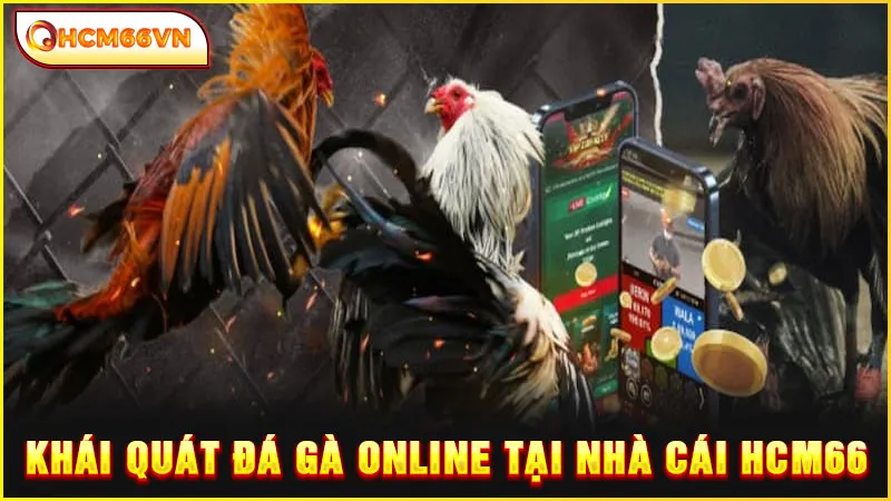 Khái quát đá gà online tại nhà cái HCM66