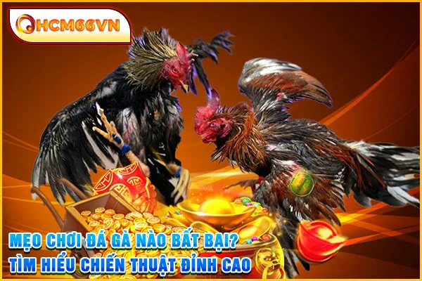 Mẹo Chơi Đá Gà Nào Bất Bại? Tìm Hiểu Chiến Thuật Đỉnh Cao