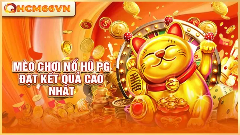 Mèo chơi nổ hũ PG đạt kết quả cao nhất