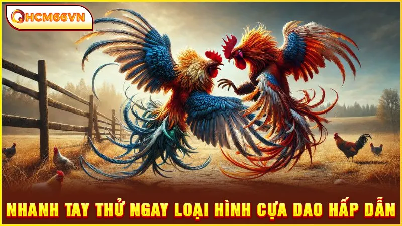 Nhanh tay thử ngay loại hình cựa dao hấp dẫn