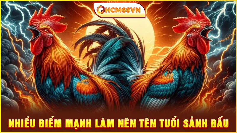 Nhiều điểm mạnh làm nên tên tuổi sảnh đấu