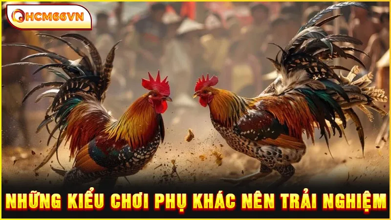 Những kiểu chơi phụ khác nên trải nghiệm