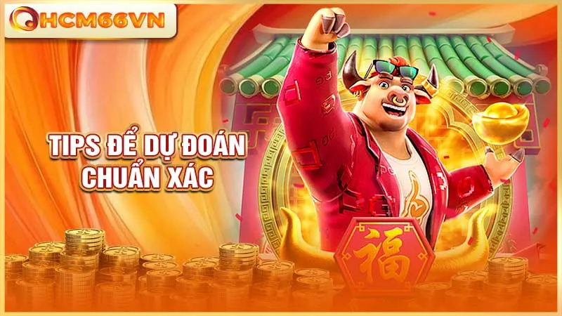 Tips để dự đoán chuẩn xác